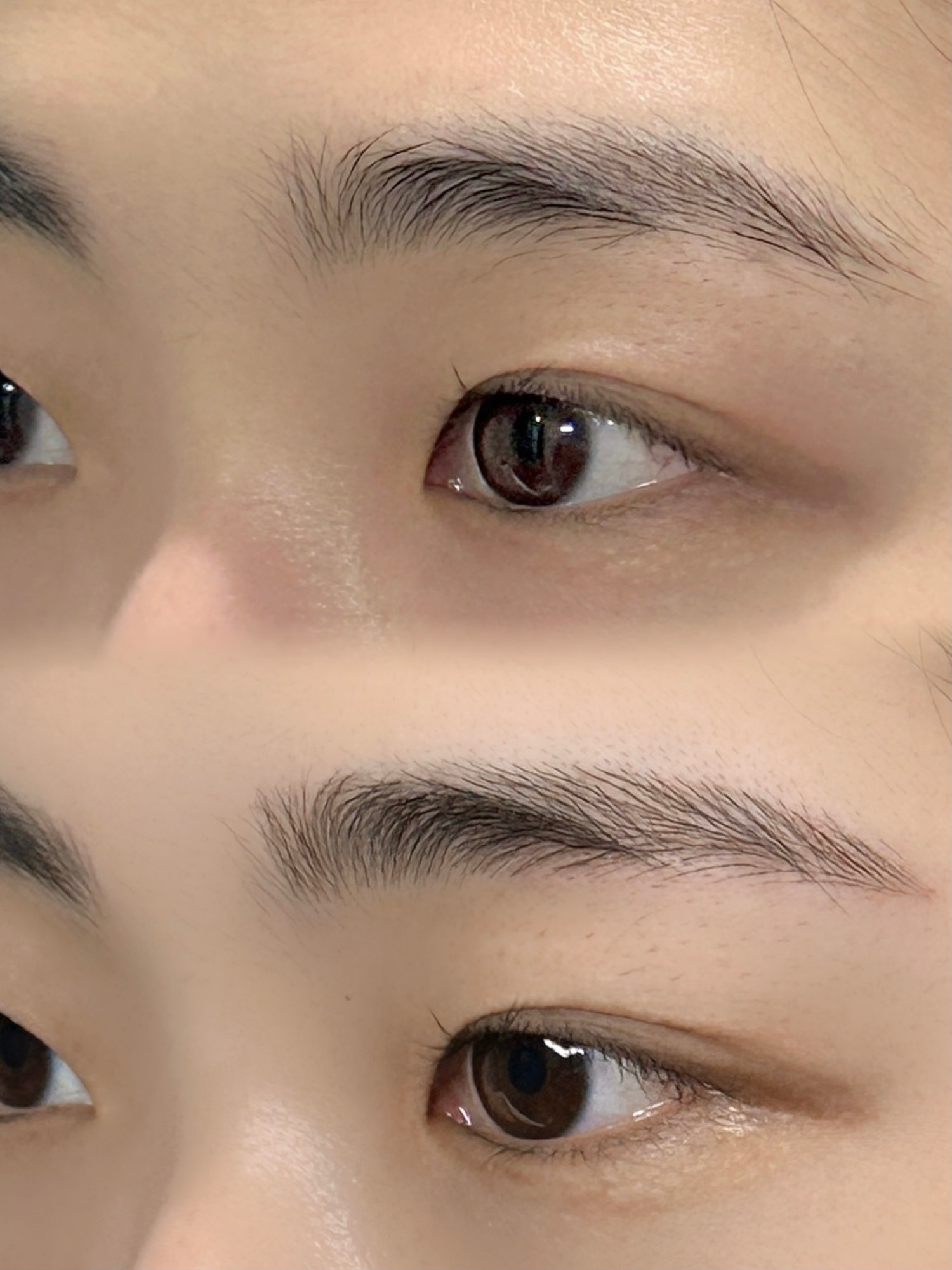 눈썹문신 전후 비교 - 여성눈썹