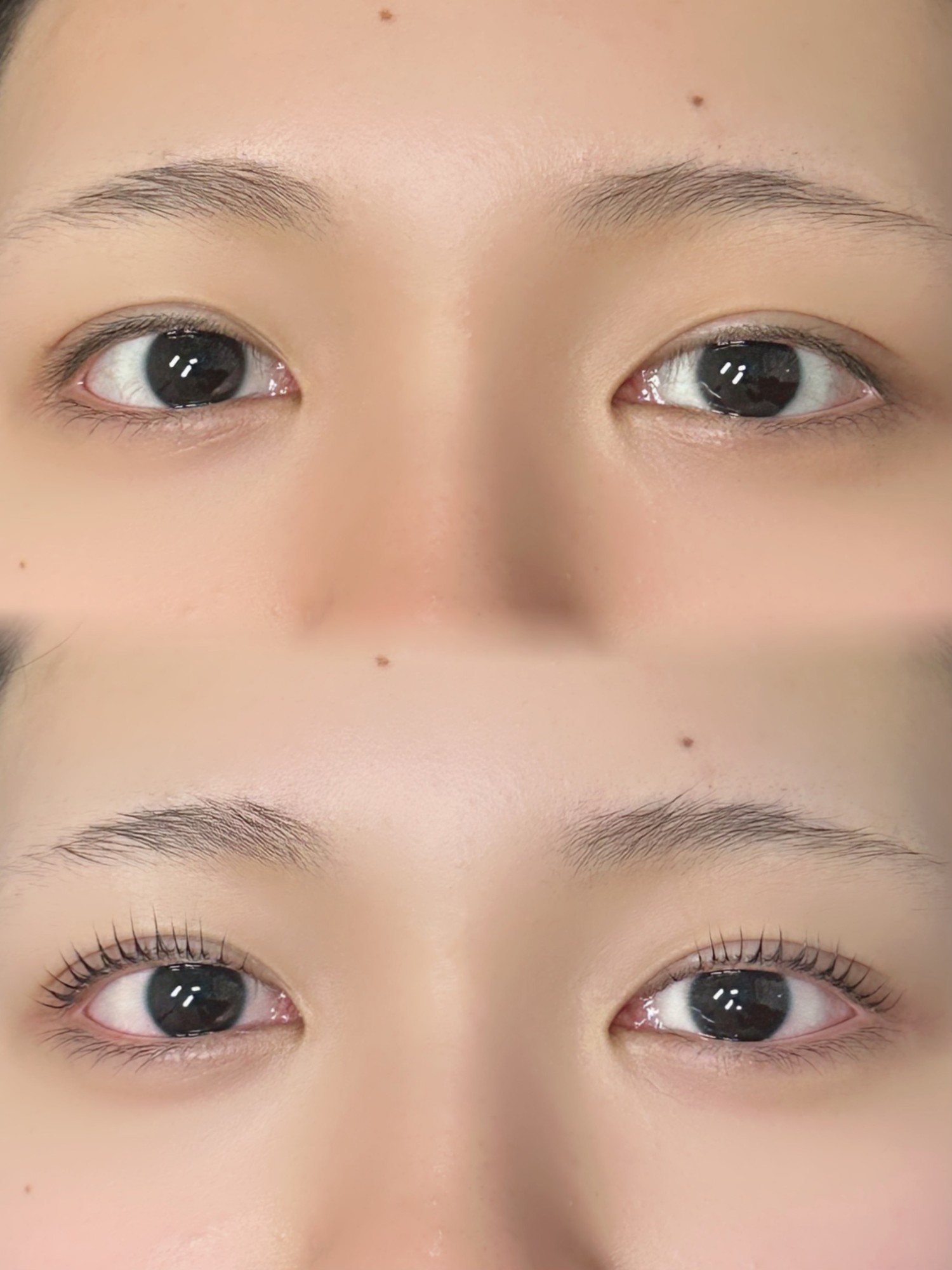 속눈썹펌 전후 비교